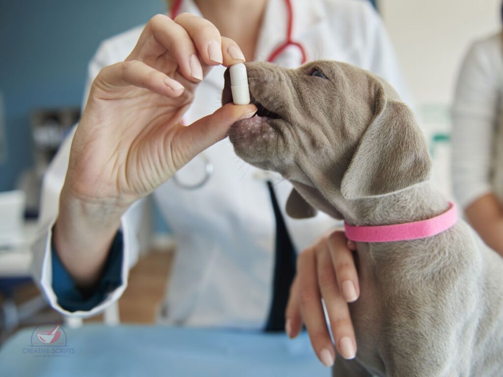 veterinary-medication